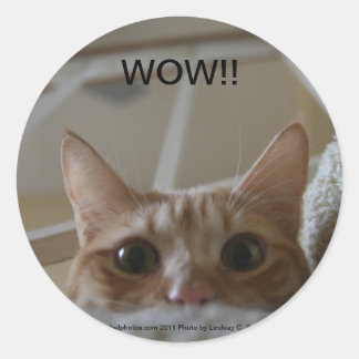 Redonda ¡WOW! pegatina de gatos
