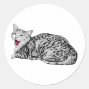 Redonda Yawby Cat Monocromo Pegatina con Tong Rojo