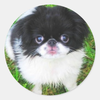 Redonda Yoshi Puppy Pegatina
