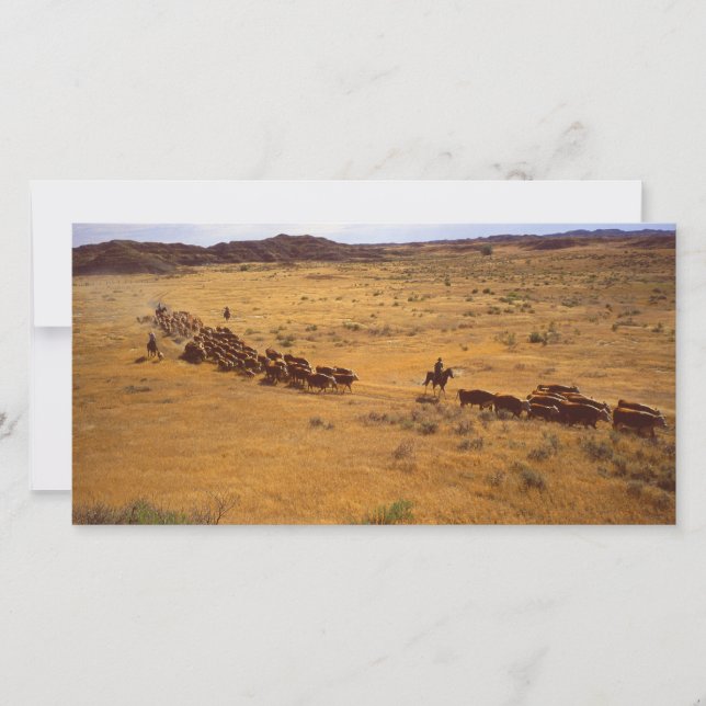 Redondeo de ganado (Anverso)