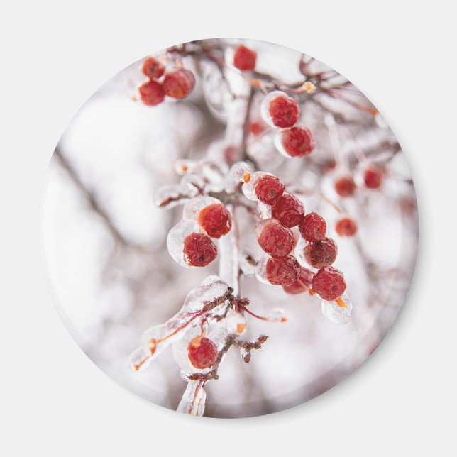 Redondo de imanes (Frente)