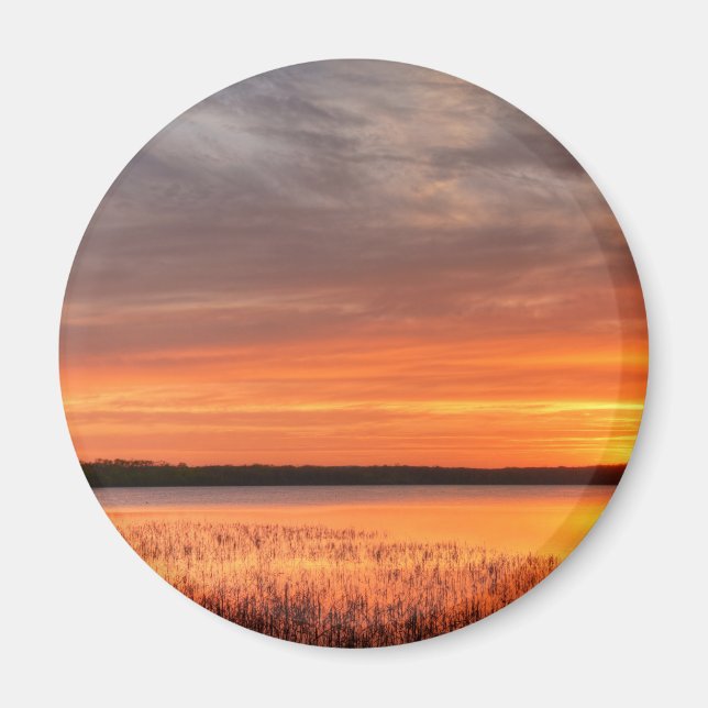 Redondo de imanes (Frente)