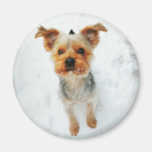 Redondo de imanes (Frente)