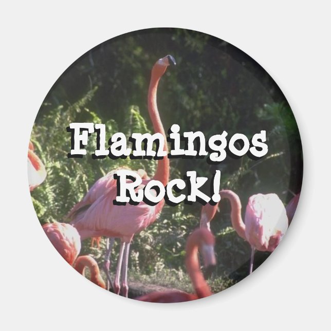 Redondo de imanes (Frente)