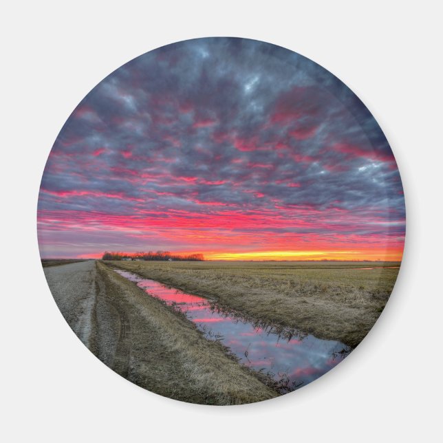 Redondo de imanes (Frente)