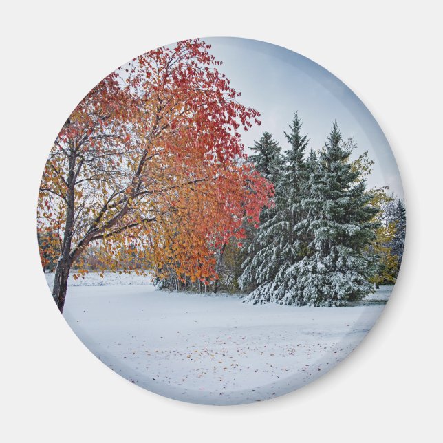 Redondo de imanes (Frente)