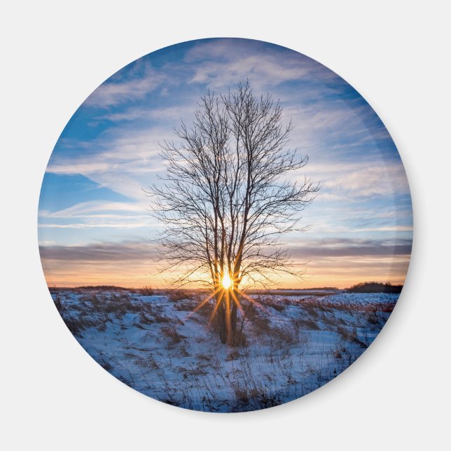 Redondo de imanes (Frente)