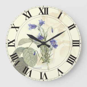 Redondo Grande Cara de reloj de la Campanula azul botánica