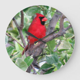 Redondo Grande Cardenal en un árbol de limón - Reloj de pájaro tr
