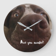 ¿Estás despierto para el reloj de pared?