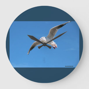 Redondo Grande Gaviota en vuelo - reloj fotográfico azul