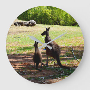 Redondo Grande Kangaroo Y Su Joey, Reloj De Muro