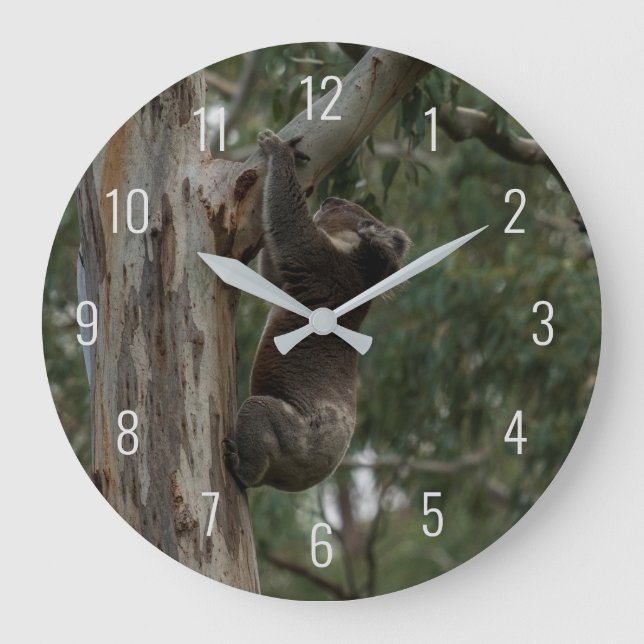 Redondo Grande Koala trepando en un árbol en un gran reloj de Aus (Anverso)