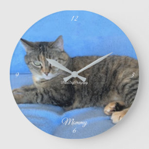 Redondo Grande mascota felino felino amor caliente bebé reloj gr