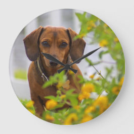 Redondo Grande Mini reloj rojo Dachshund