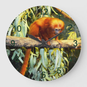 Redondo Grande Observación del León Dorado Tamarin, reloj de pare