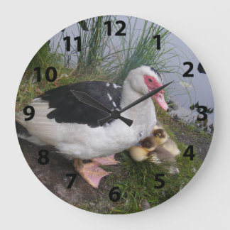 Redondo Grande Pato De Muscovy Y Reloj De Ducado