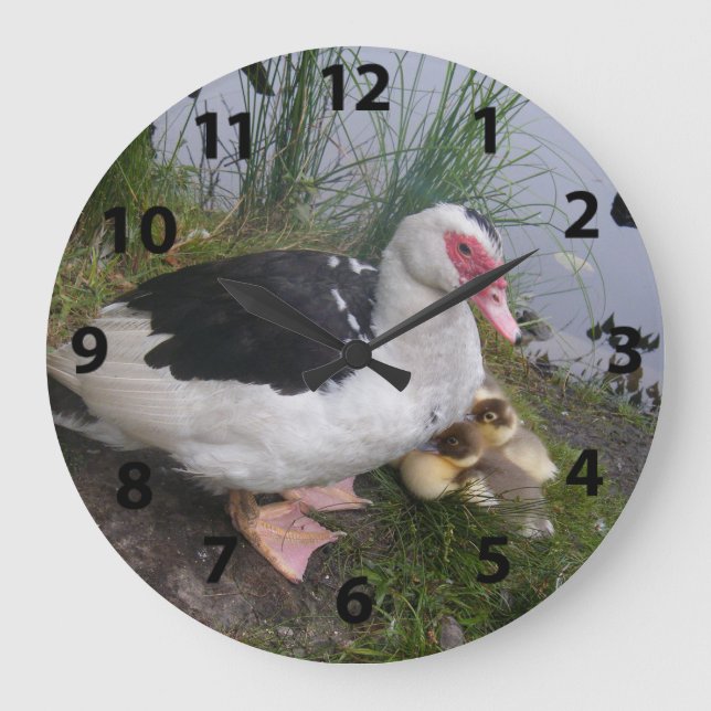 Redondo Grande Pato De Muscovy Y Reloj De Ducado (Anverso)
