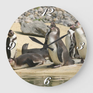 Redondo Grande Pingüinos Humboldt, Reloj