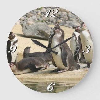 Redondo Grande Pingüinos Humboldt, Reloj