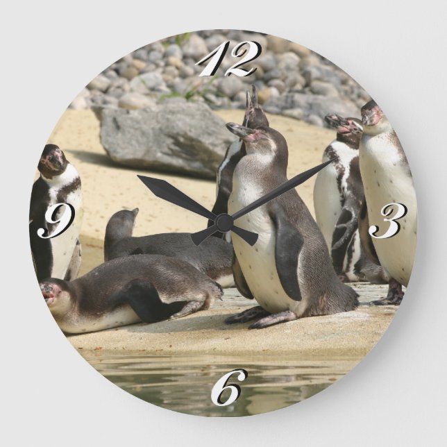Redondo Grande Pingüinos Humboldt, Reloj (Anverso)
