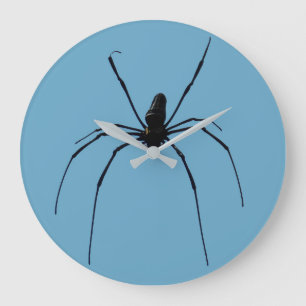 Redondo Grande Reloj de araña