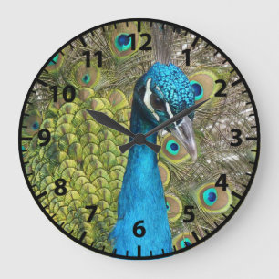 Redondo Grande Reloj de aves de pavo real