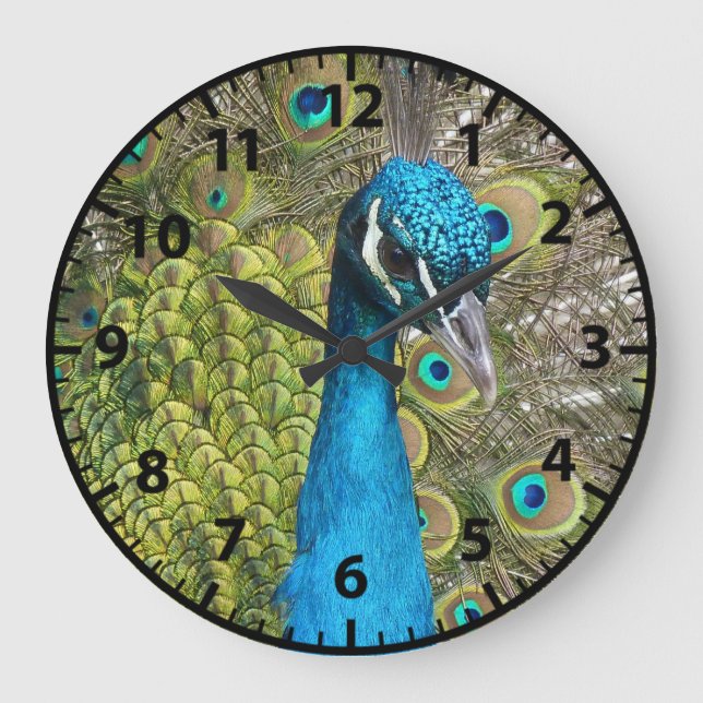 Redondo Grande Reloj de aves de pavo real (Anverso)