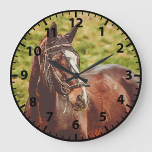 Redondo Grande Reloj de caballos personalizable con foto de cabal
