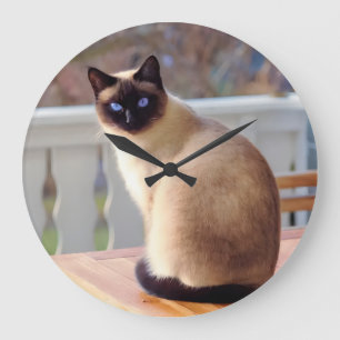 Redondo Grande Reloj de gato siamés