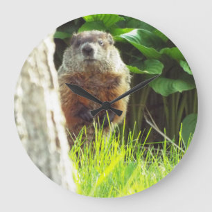Redondo Grande Reloj de Groundhog