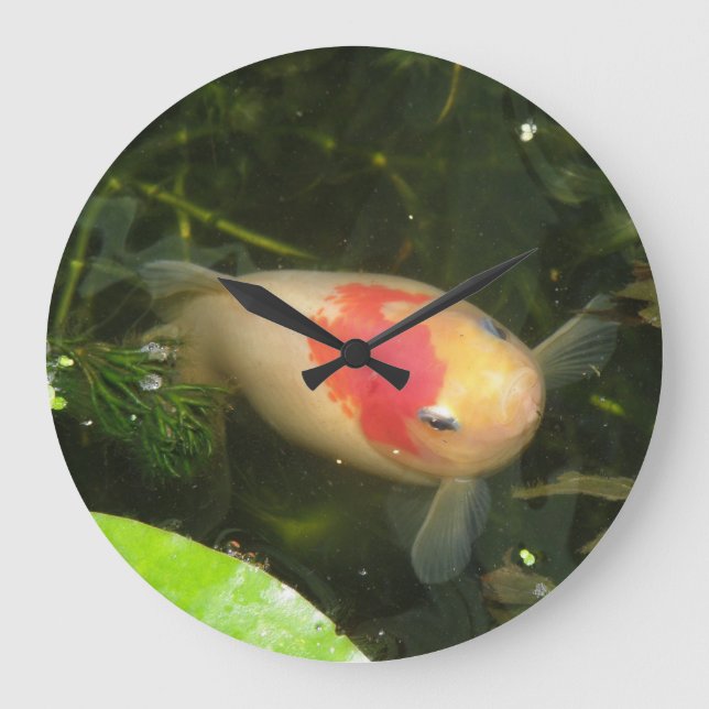 Redondo Grande Reloj de la pared del pez dorado (Anverso)