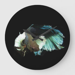 Redondo Grande Reloj de los pescados de Betta