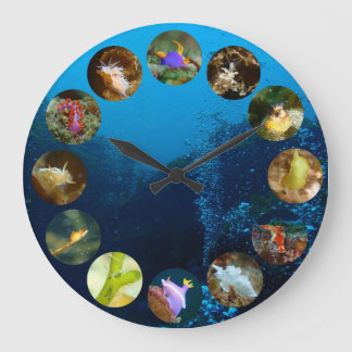 Redondo Grande Reloj de Nudibranch