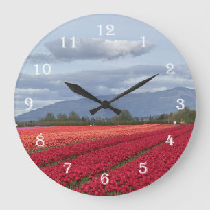 Redondo Grande Reloj de tulipanes de Skagit Valley Washington Sta