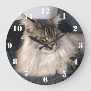 Redondo Grande Reloj del gato de Coon de Maine