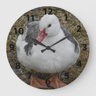 Redondo Grande Reloj del pato de Muscovy