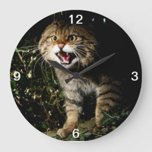Redondo Grande Reloj - gato montés escocés