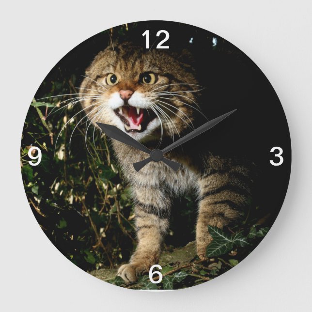 Redondo Grande Reloj - gato montés escocés (Anverso)