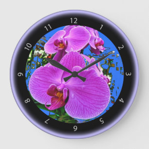Redondo Grande Reloj rosado de la orquídea