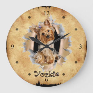 Redondo Grande Yorkie Rompe Con El Reloj De Bolsas De Papel! ~