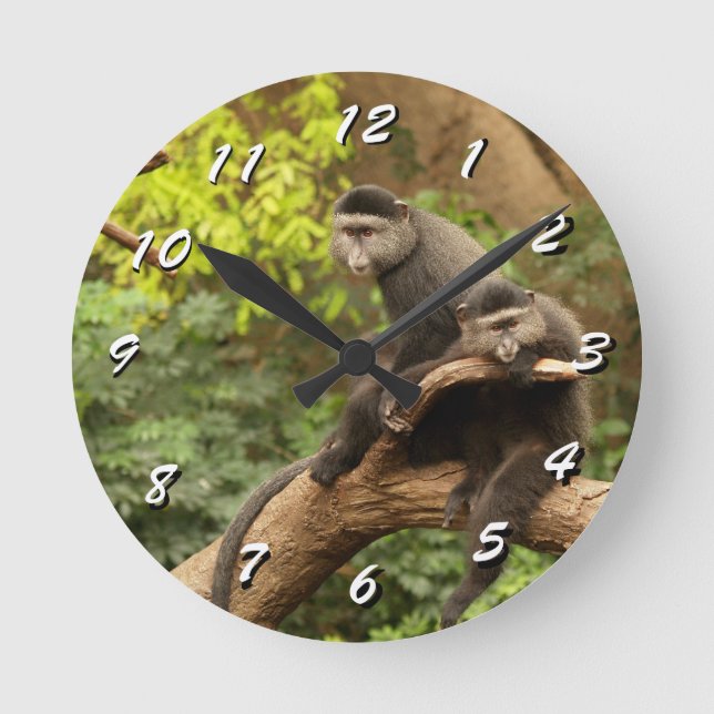 Redondo Mediano 12 opciones numéricas a elegir: reloj de monos (Anverso)