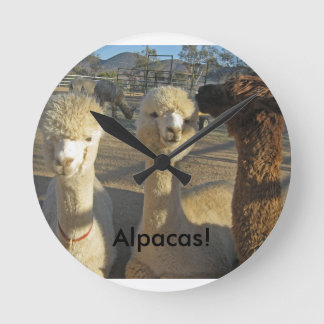 Redondo Mediano ¡Alpacas! Reloj