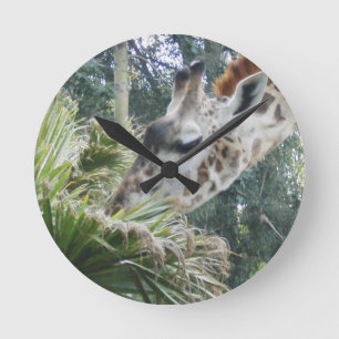 Redondo Mediano Giraffe Comer el reloj del muro del almuerzo