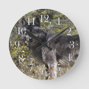 Redondo Mediano Lobo gris oscuro y reloj fotográfico de pastura fo
