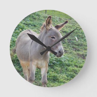 Redondo Mediano Pequeño reloj solo del burro