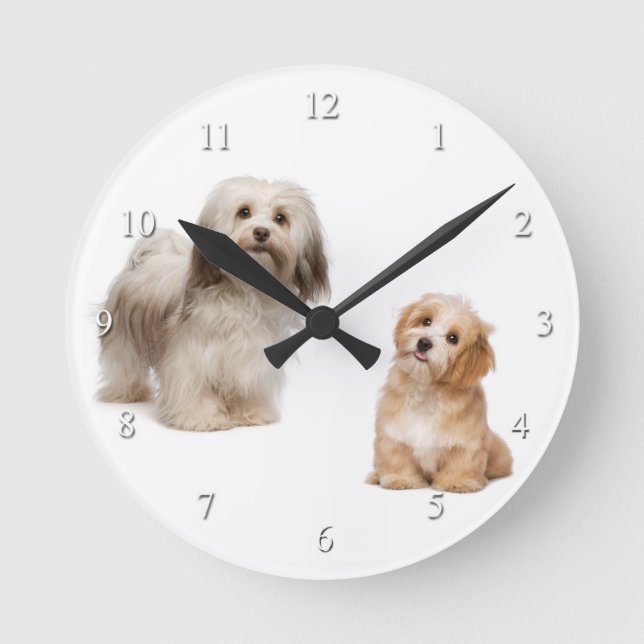 Redondo Mediano Perro de Havanese y reloj del perrito (Anverso)