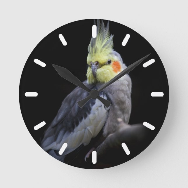 Redondo Mediano Reloj 2 del Cockatiel (Anverso)