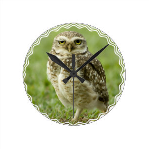 Redondo Mediano Reloj alerta del búho
