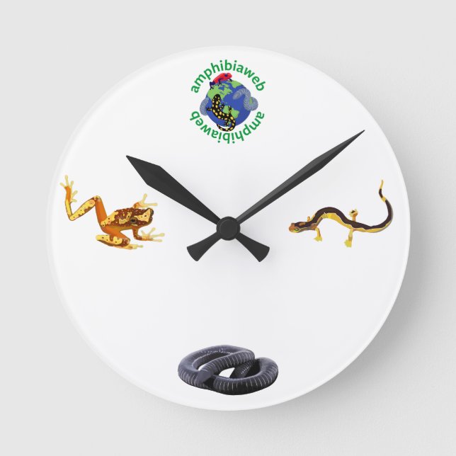 Redondo Mediano Reloj de AmphibiaWeb (Anverso)